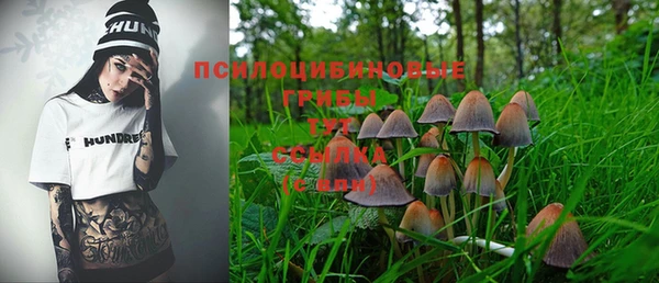 PSILOCYBIN Алзамай